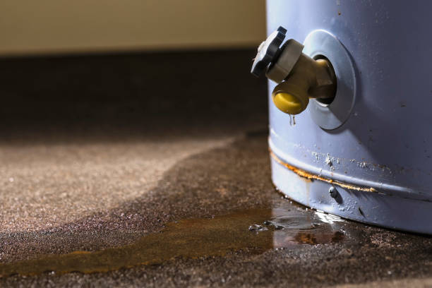 Best Ceiling water damage repair  in Walters, OK