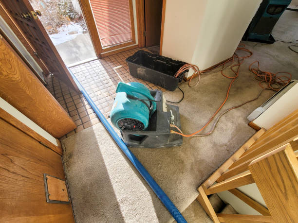 Best Water damage restoration near me  in Walters, OK
