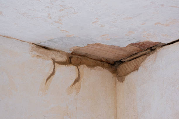 Best Water damage restoration company  in Walters, OK