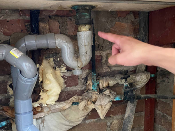 Best Mold removal after water damage  in Walters, OK
