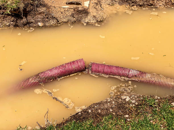 Best Flood damage cleanup  in Walters, OK