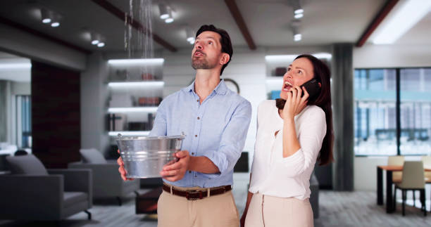 Best Water damage contractors near me  in Walters, OK